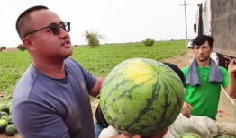 丹东吃瓜最新事件爆料新闻,最新爆料揭示惊人内幕